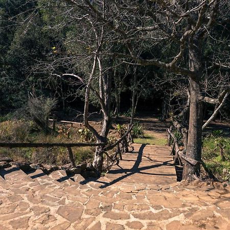 ANEW Resort Ingeli Forest Kokstad Kokstad  Eksteriør bilde
