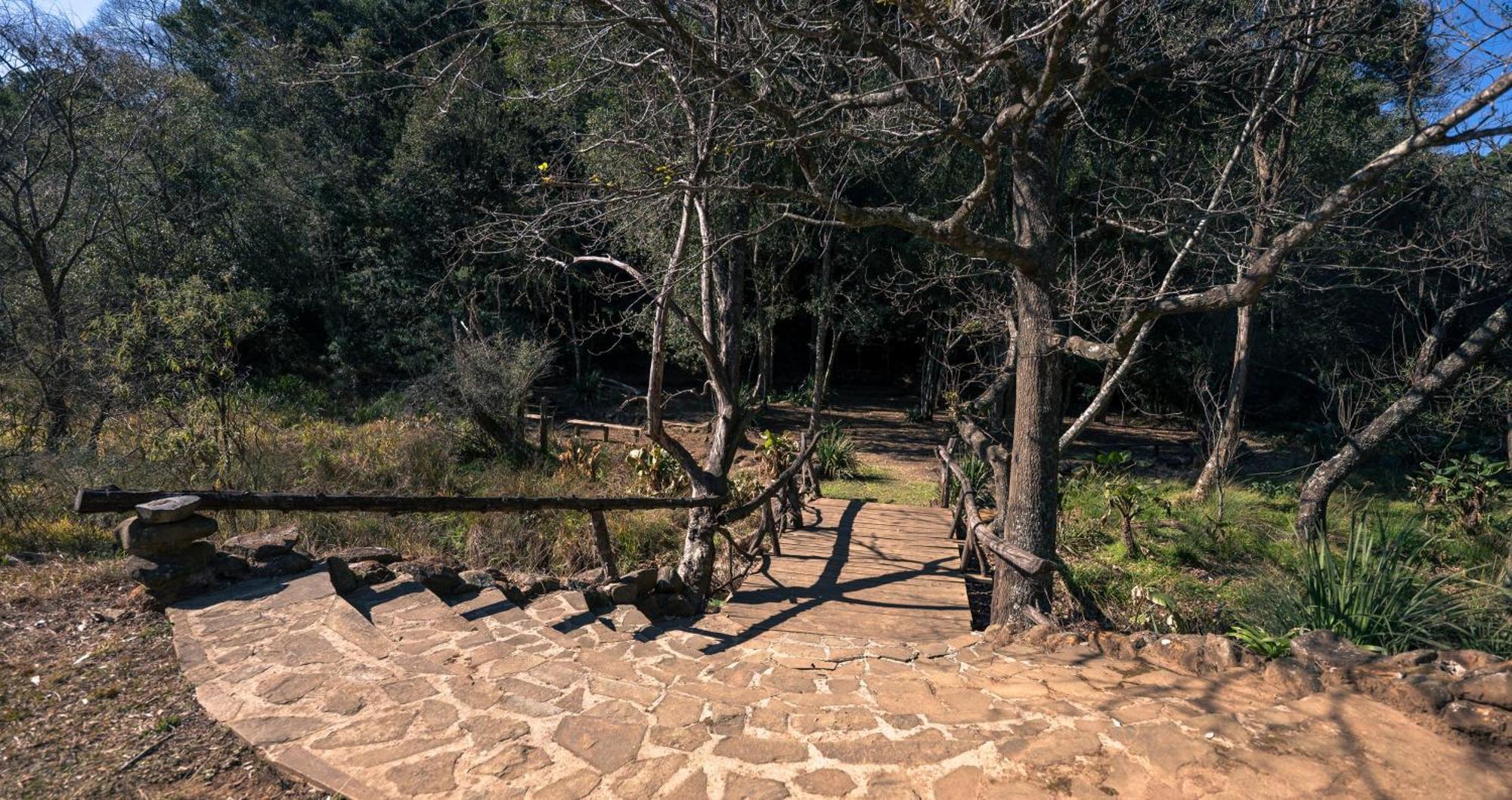 ANEW Resort Ingeli Forest Kokstad Kokstad  Eksteriør bilde